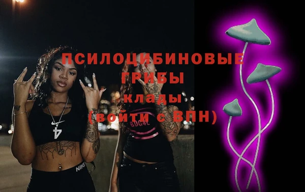СК Михайлов
