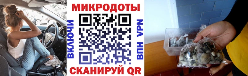 Галлюциногенные грибы Magic Shrooms  купить закладку  Южно-Сахалинск 
