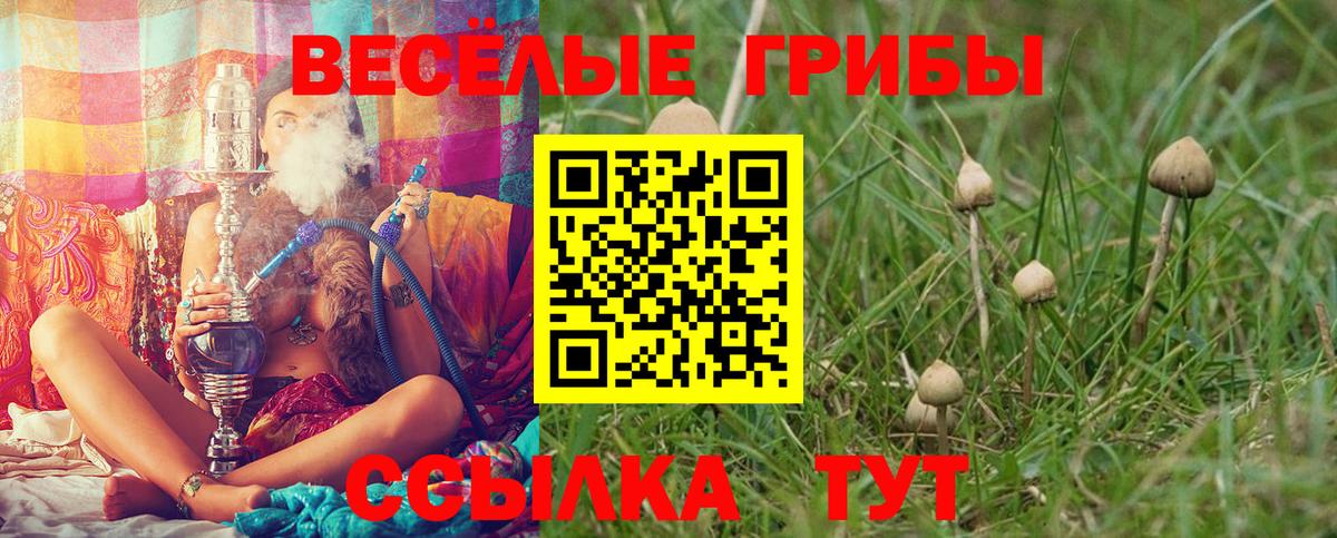 Галлюциногенные грибы Magic Shrooms Южно-Сахалинск